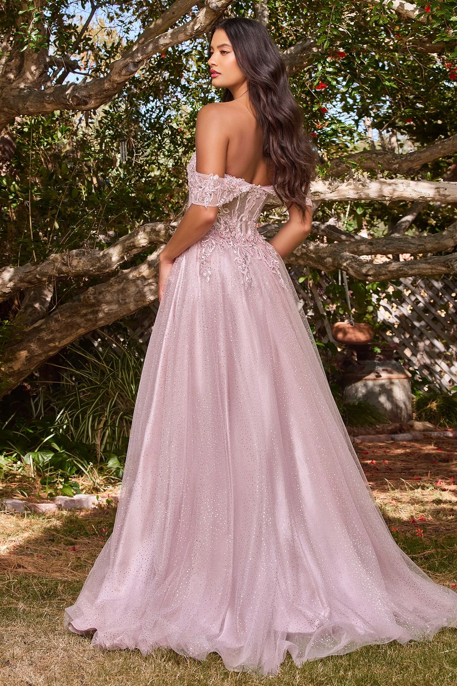 LACE A-LINE GOWN WITH OFF THE SHOULDER SLEEVES CDCD0198