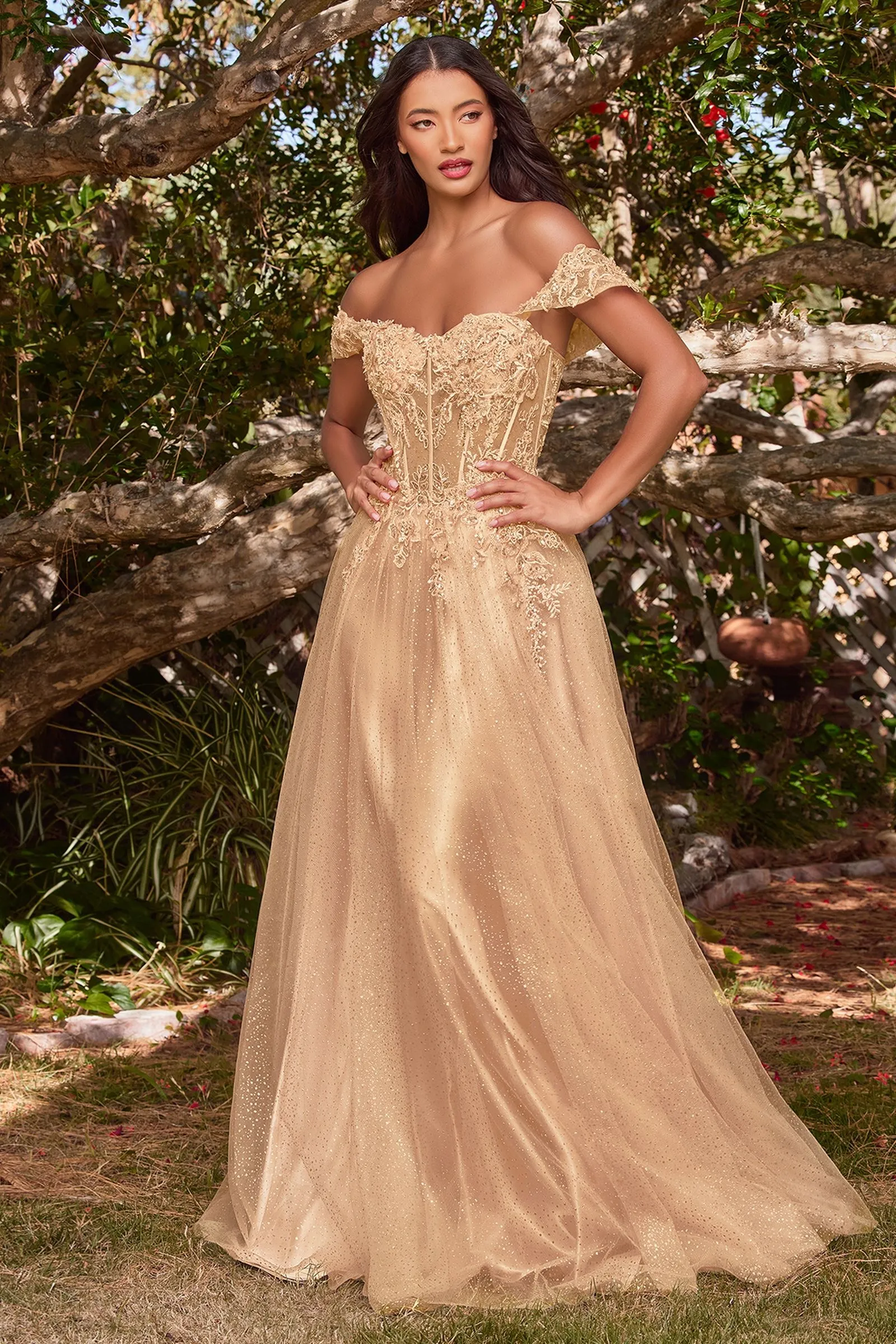 LACE A-LINE GOWN WITH OFF THE SHOULDER SLEEVES CDCD0198