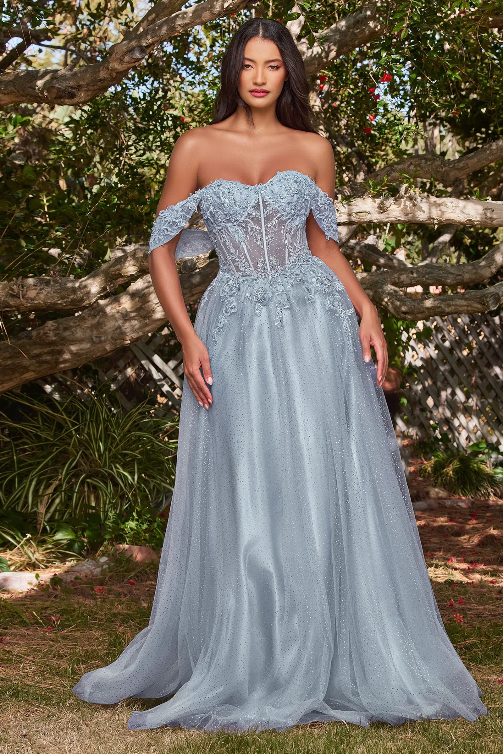 LACE A-LINE GOWN WITH OFF THE SHOULDER SLEEVES CDCD0198