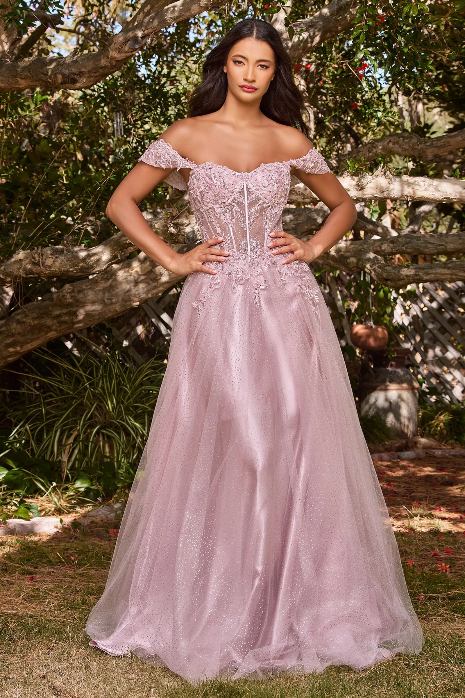 LACE A-LINE GOWN WITH OFF THE SHOULDER SLEEVES CDCD0198