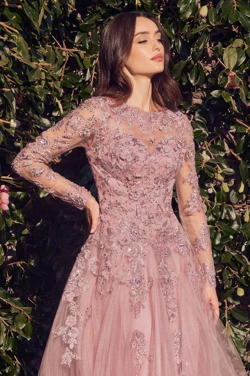 LACE LAYERED TULLE LONG SLEEVE GOWN CDMA108