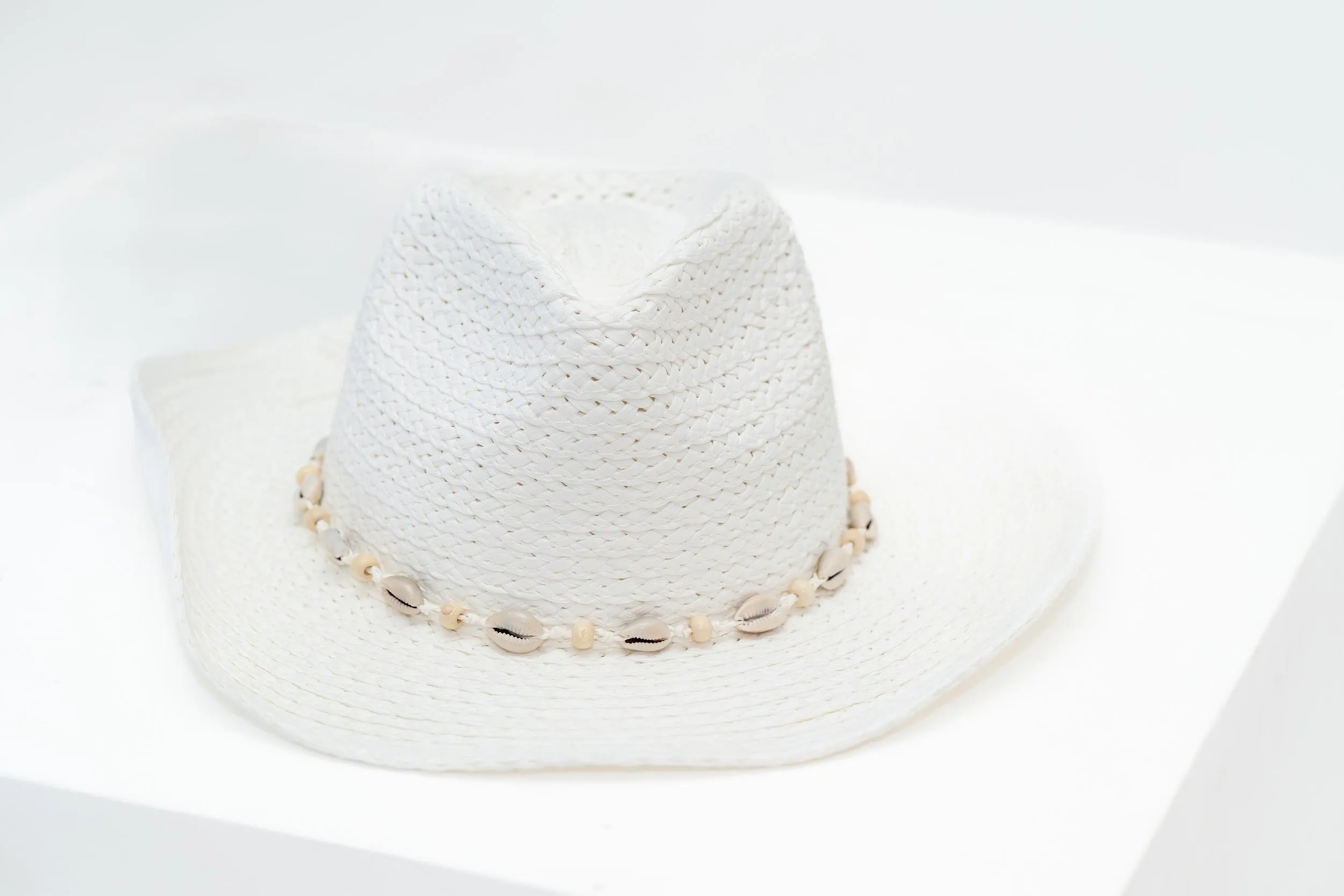 Sea Shell Rodeo